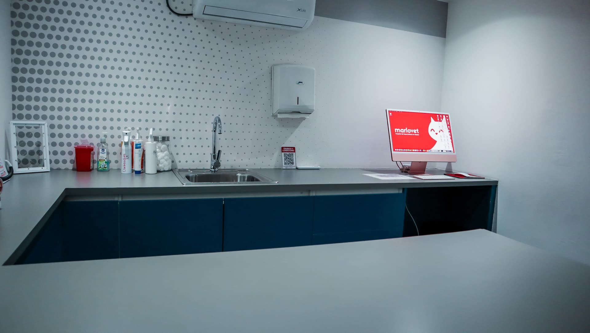 Marlovet Hospital de Especialidad en Gatos