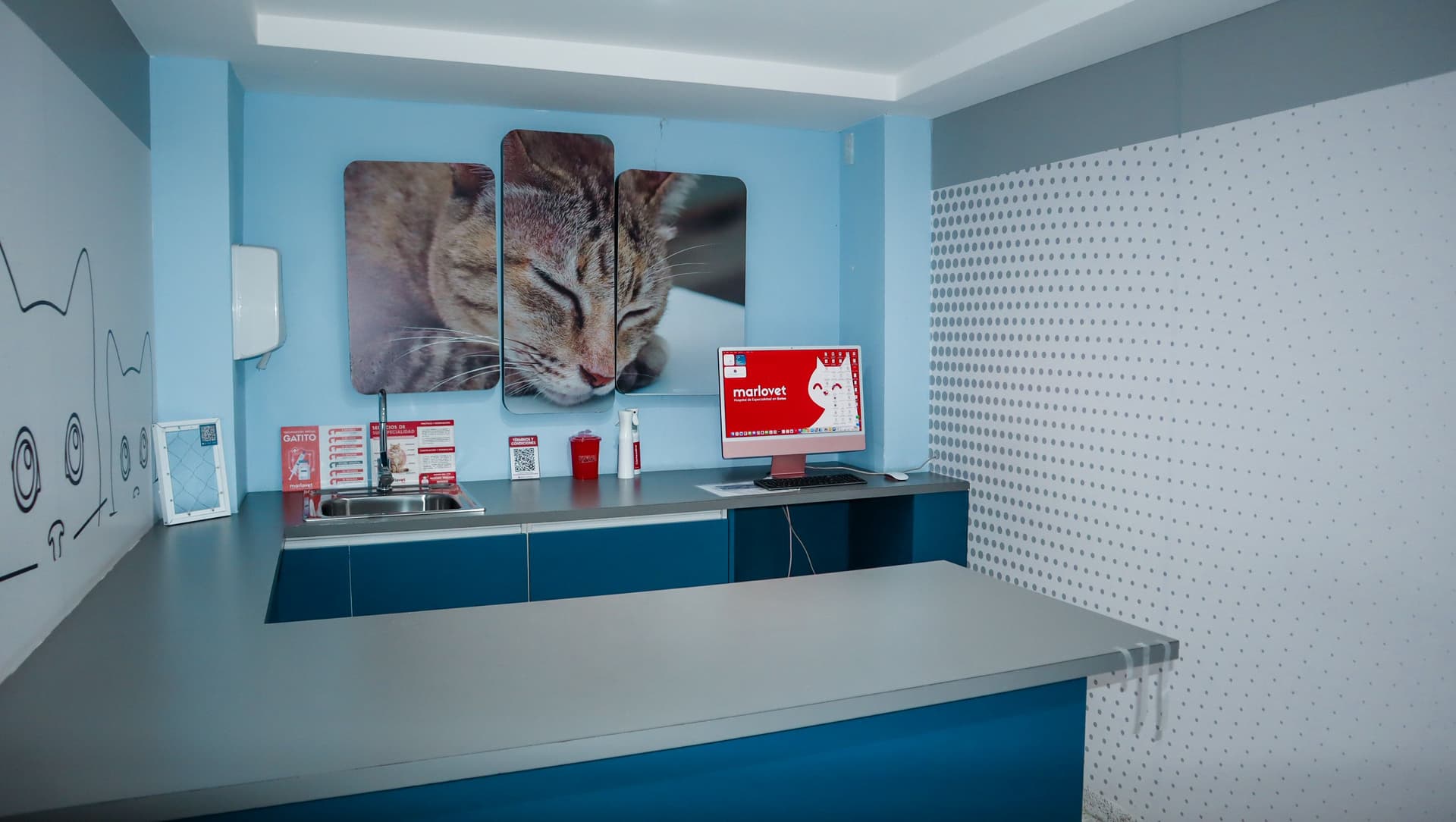 Marlovet Hospital de Especialidad en Gatos