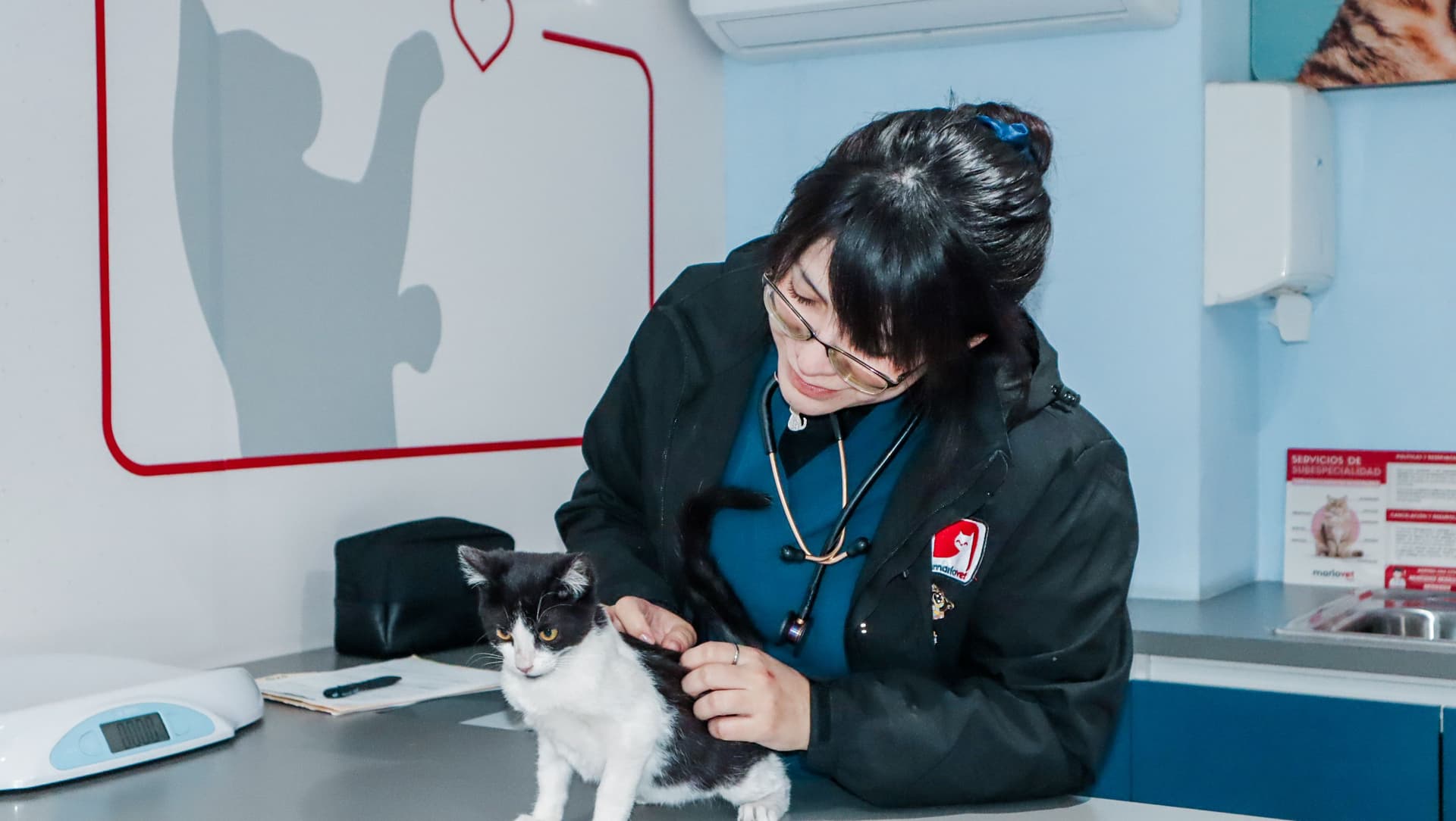 Marlovet Hospital de Especialidad en Gatos