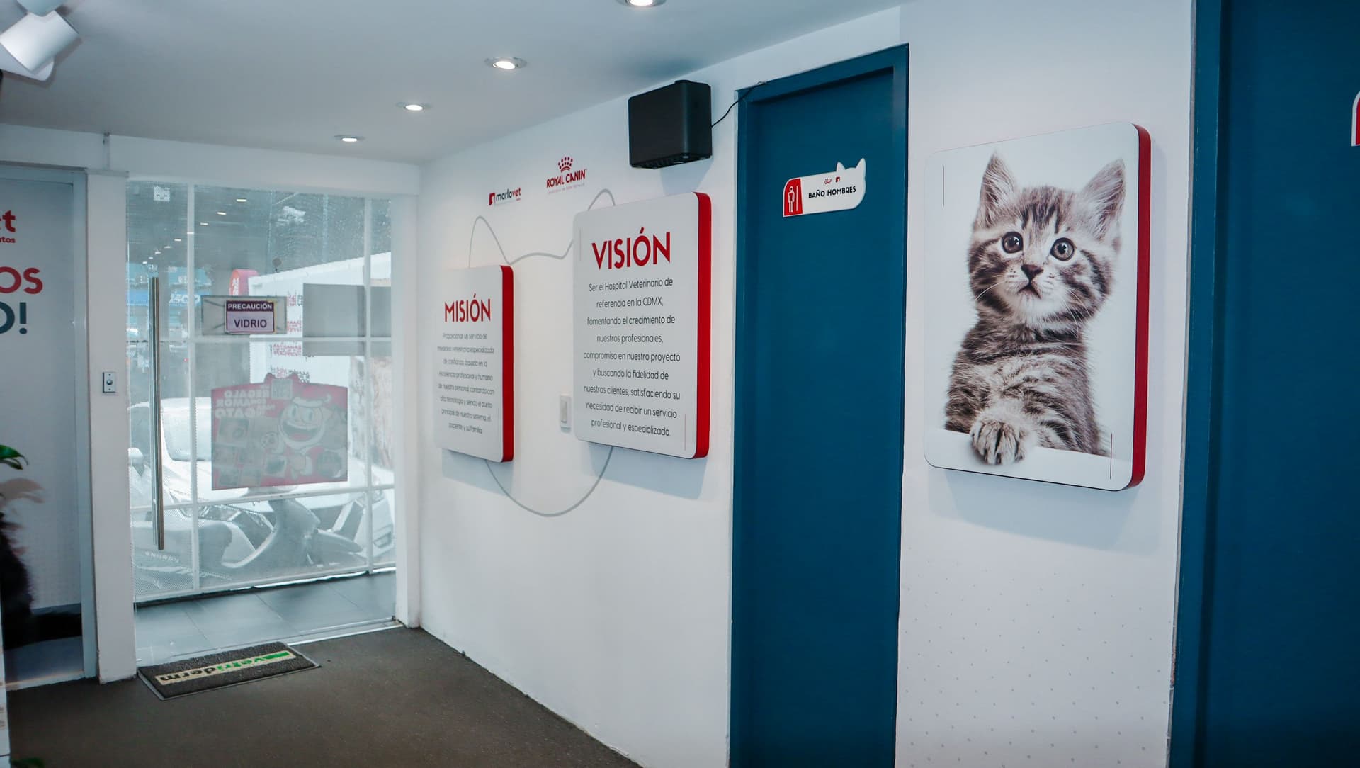 Marlovet Hospital de Especialidad en Gatos