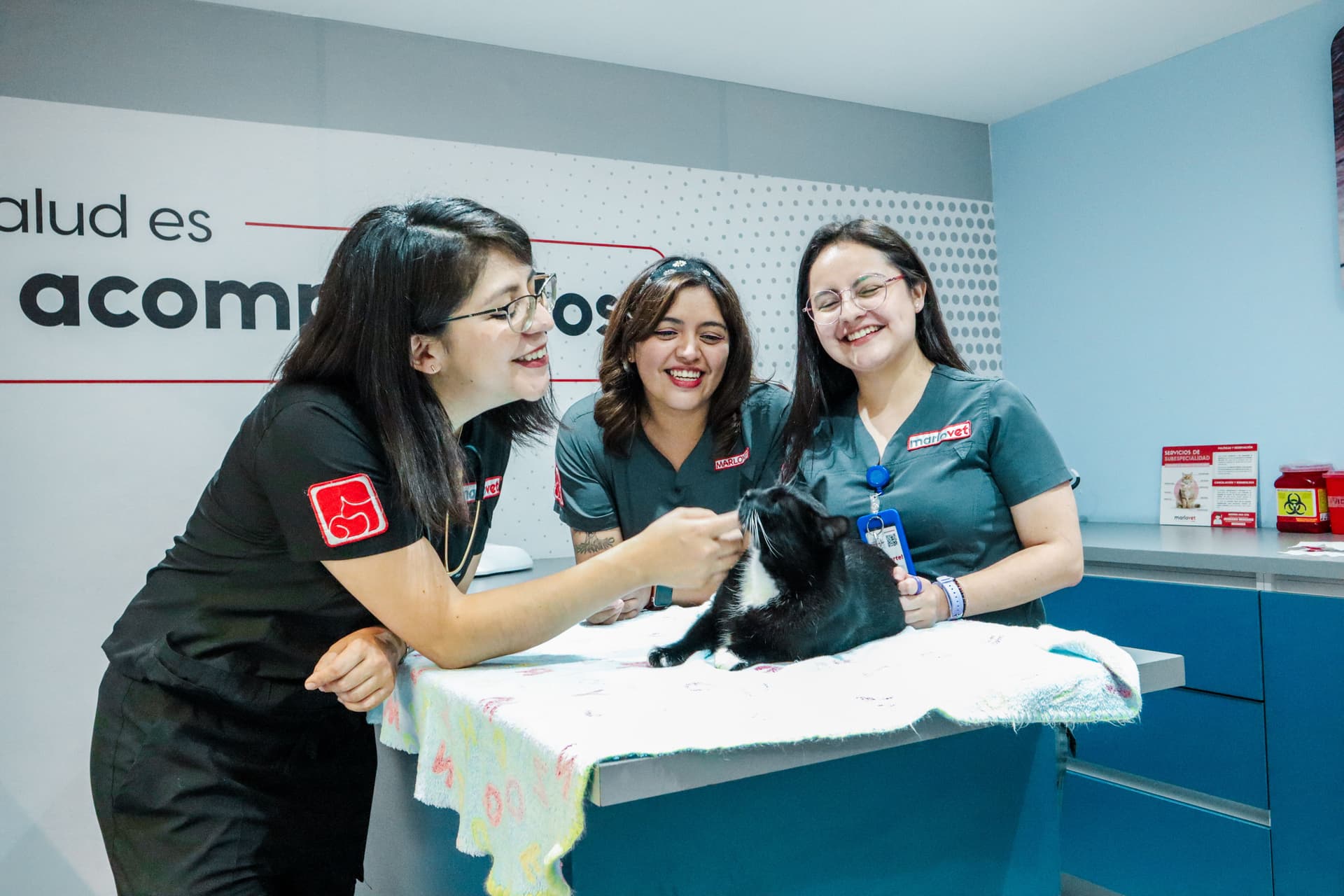 Marlovet Hospital de Especialidad en Gatos