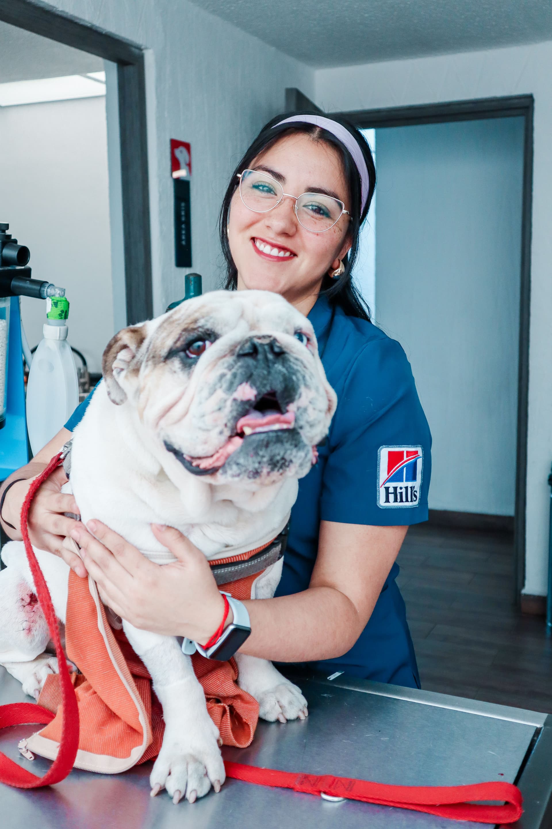 Marlovet Hospital de Especialidad en Perros