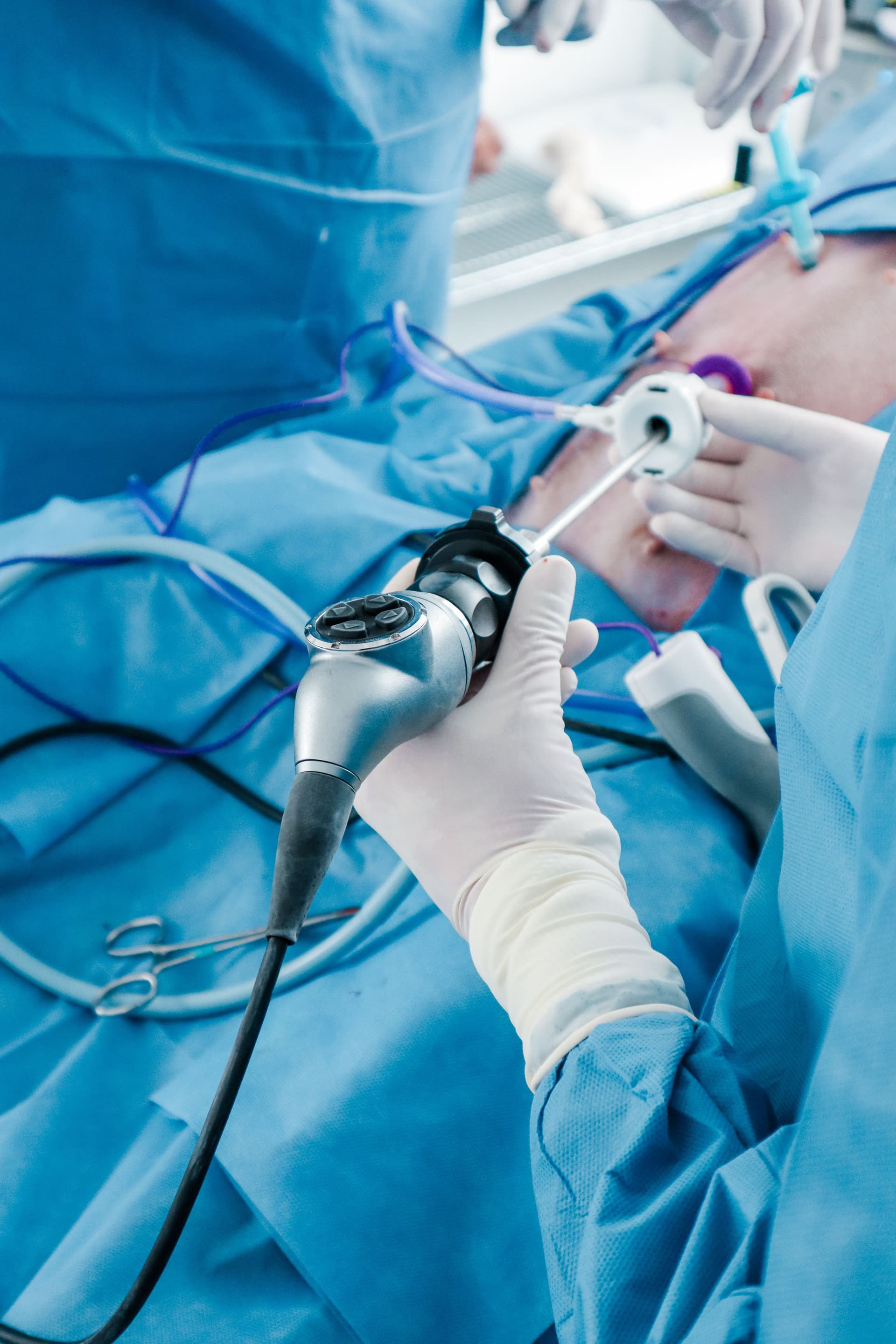 Marlovet Hospital de Especialidad en Perros