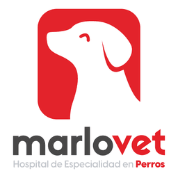 Marlovet Hospital de Especialidad en Perros logo