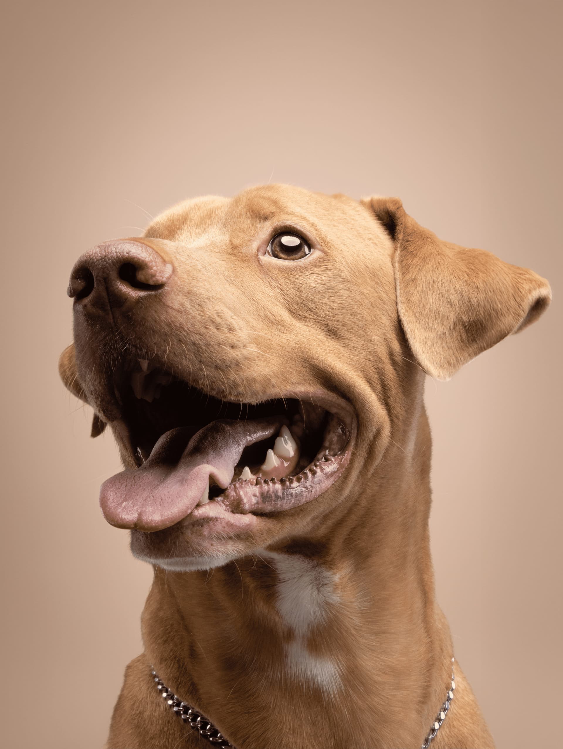 De duelos, sillones rotos, años nuevos y nuevos comienzos