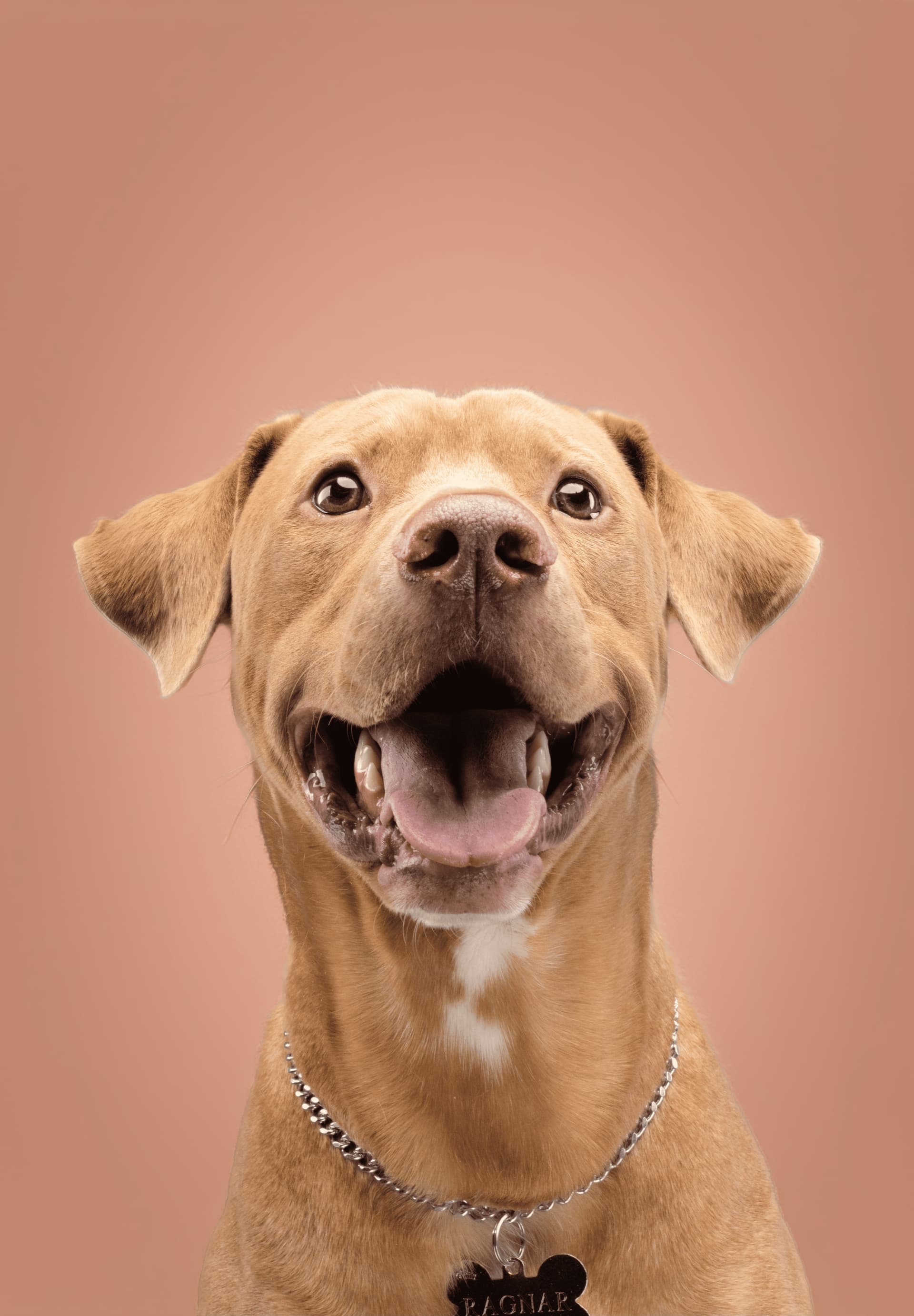 De duelos, sillones rotos, años nuevos y nuevos comienzos