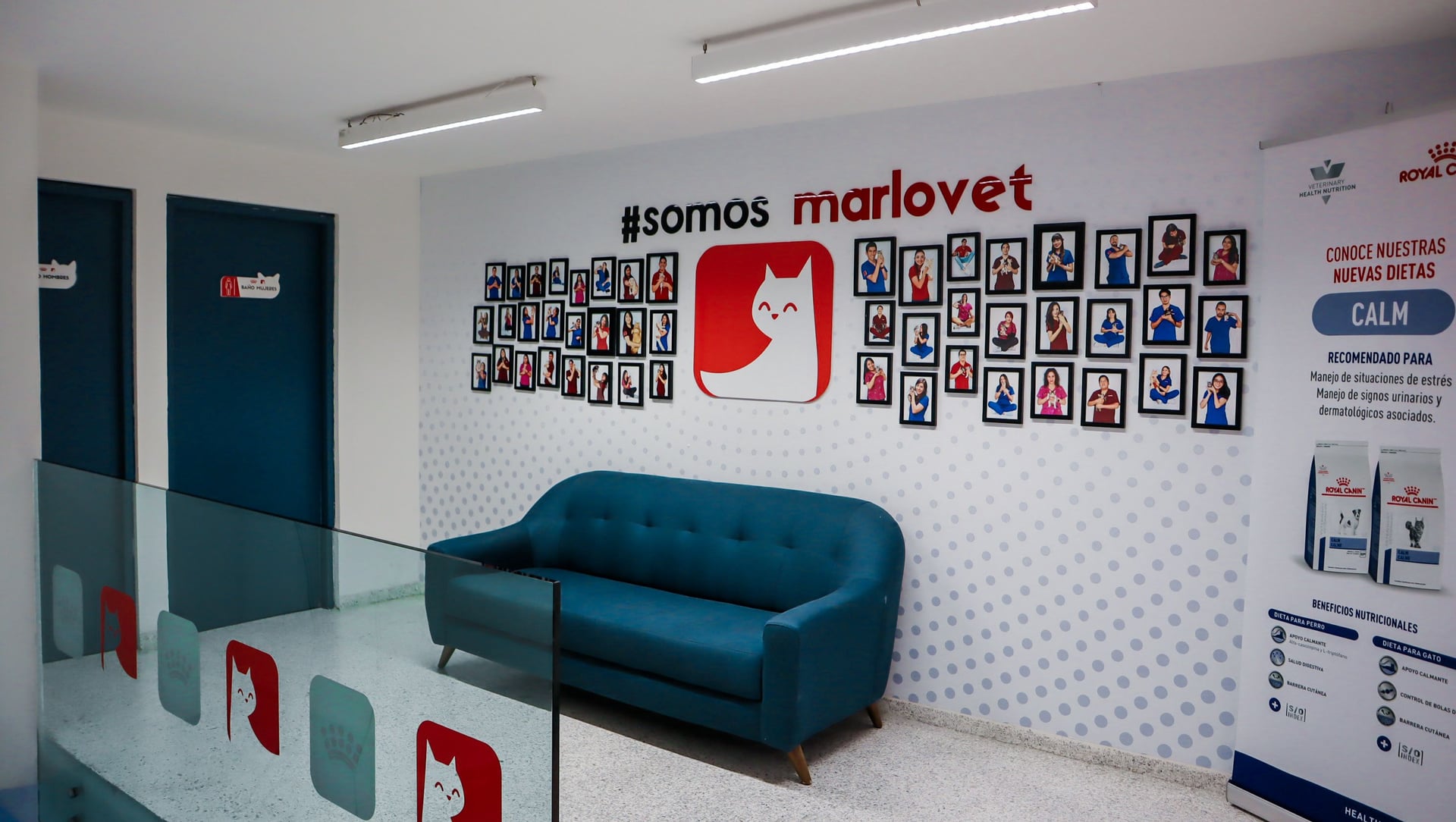 Marlovet Hospital de Especialidad en Gatos