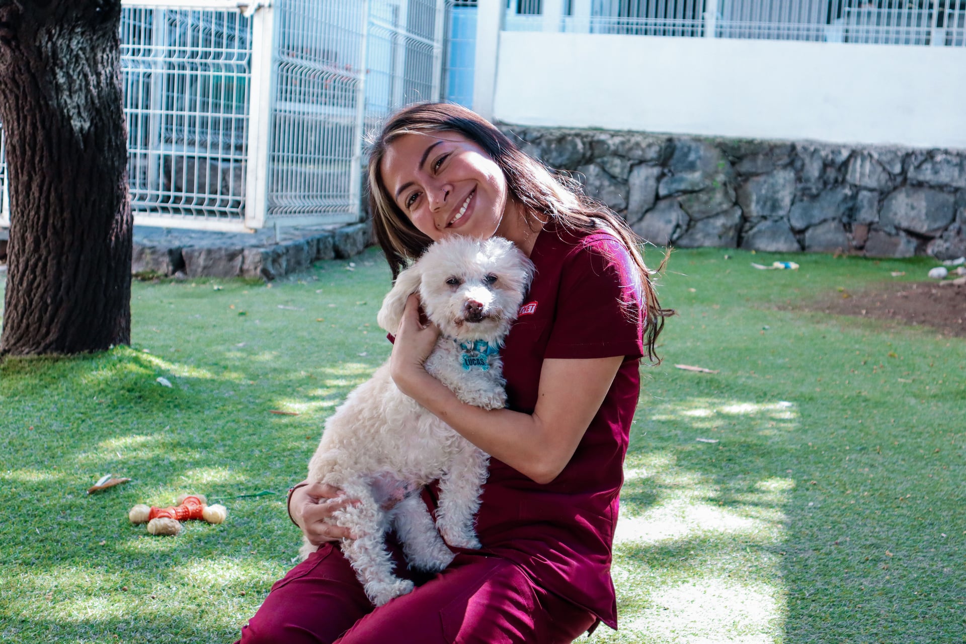 Marlovet Hospital de Especialidad en Perros