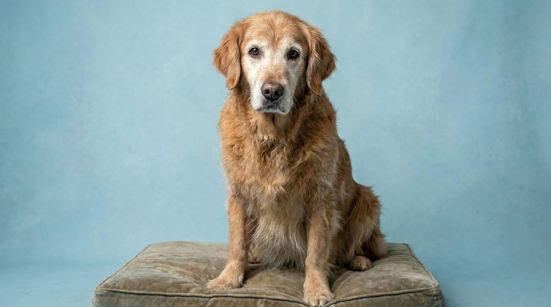 Ejercicios de bajo impacto para ternurines de la tercera edad