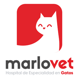 Marlovet Hospital de Especialidad en Gatos logo